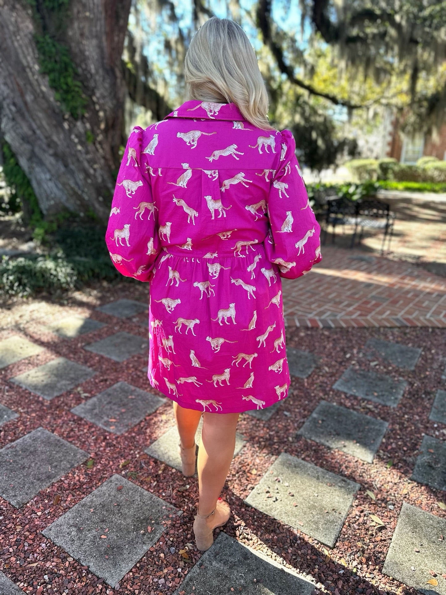 Rose Cheetah Dress Feb.